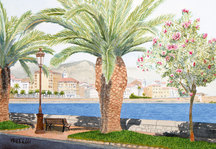 Plage st. Fran&ccedil;ois - Ajaccio
